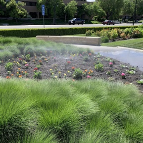 landscaping design in Wasatch Front